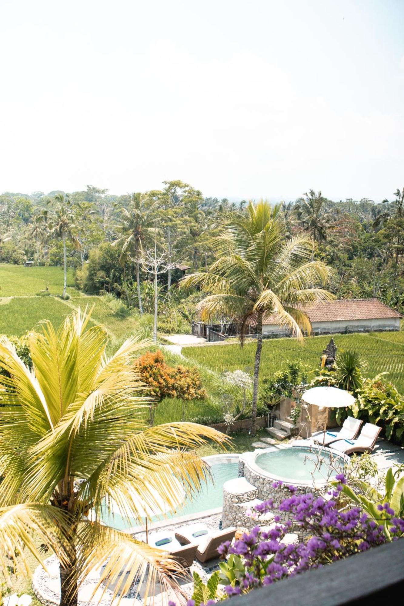 The Nenggala Suite Tegallalang (Bali) Exterior foto